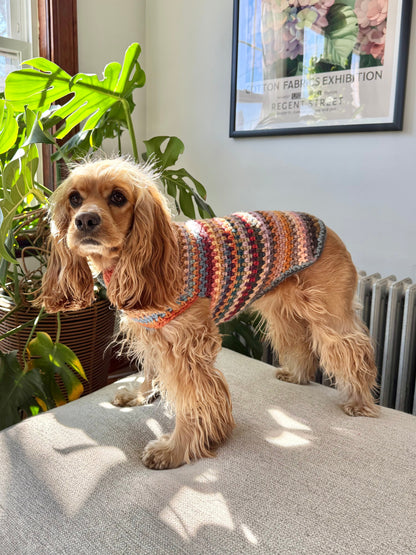 Sokka Sweater Pattern