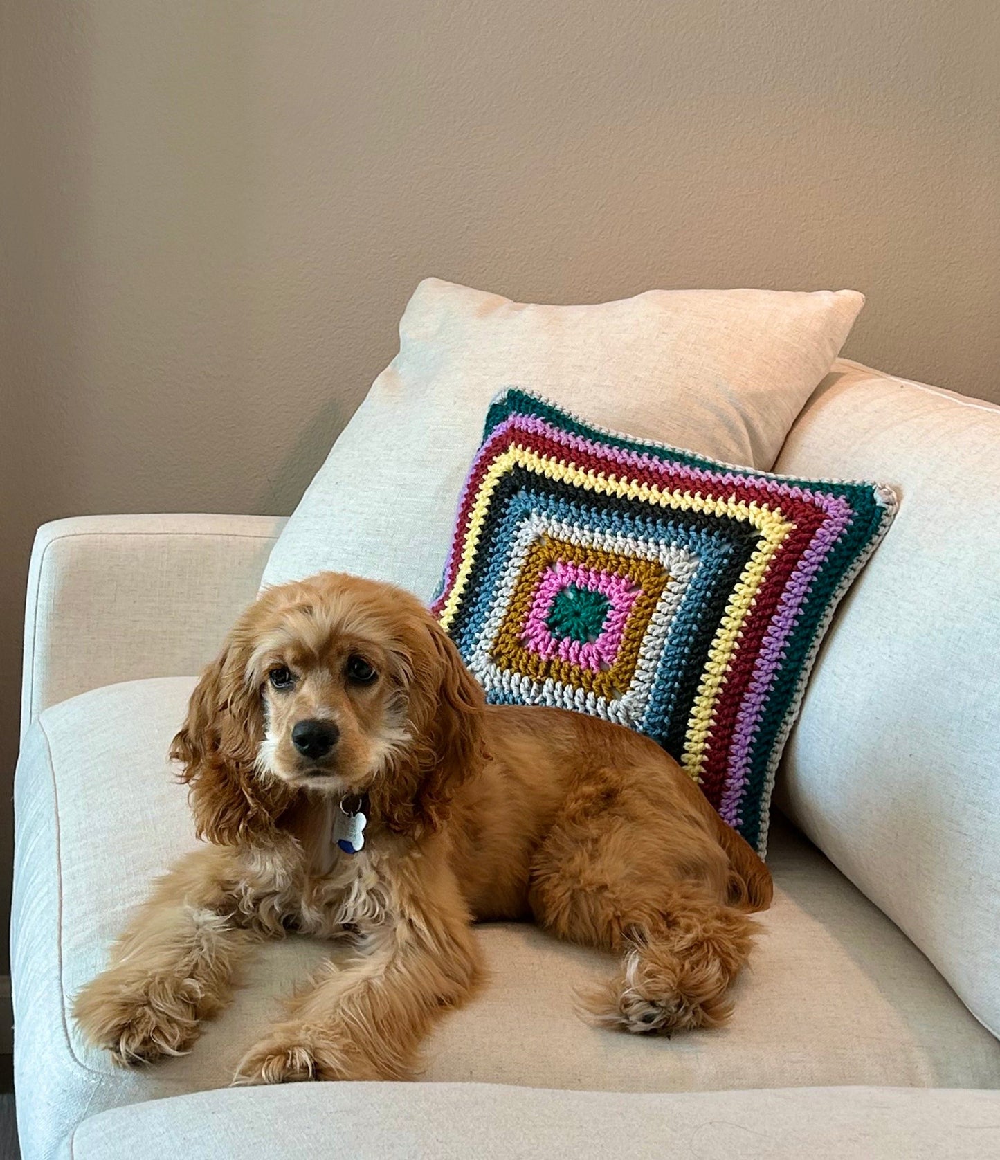 adorable puppy sitting next to striped crochet pillow design
