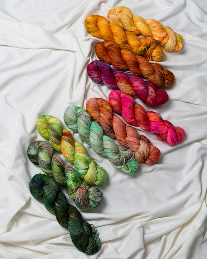 Late Bloomer Set