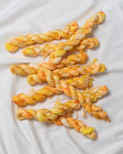 Early Bird Gets The Worm