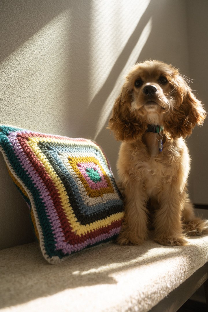 unique striped handmade crochet pillow and cute spaniel puppy