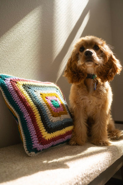 unique striped handmade crochet pillow and cute spaniel puppy